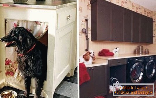 Miejsce dla psa w szafce kuchennej