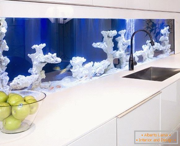 Akwarium z koralowcami w kuchni