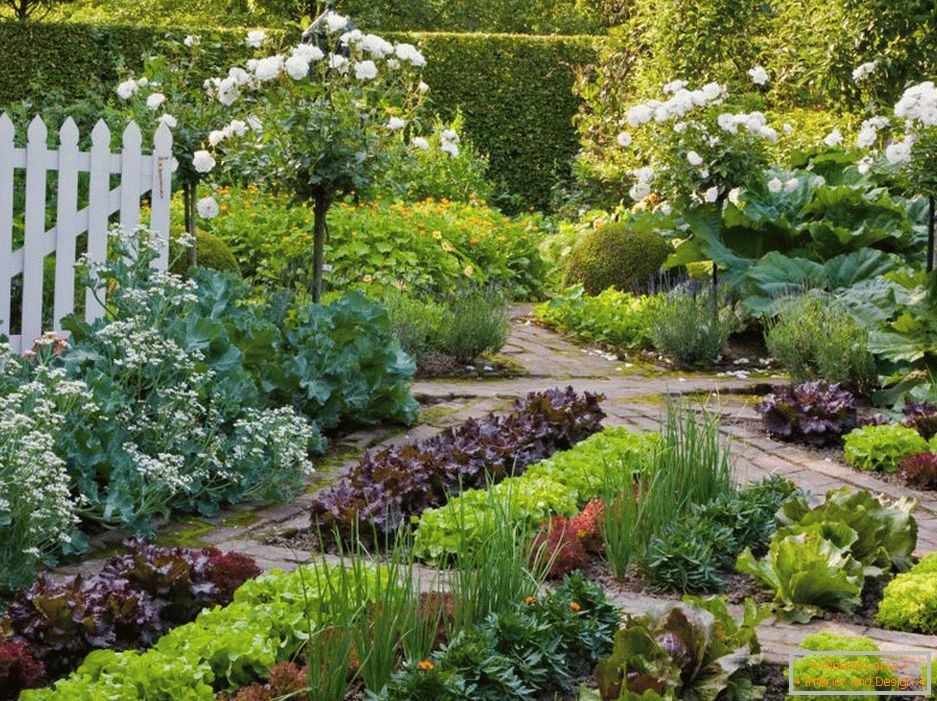 Ogród i ogród