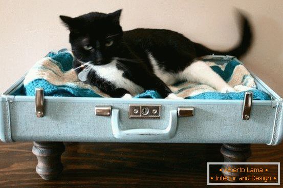 Miejsce dla kota z walizki