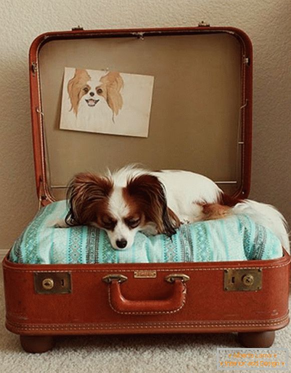 Miejsce dla psa z walizki