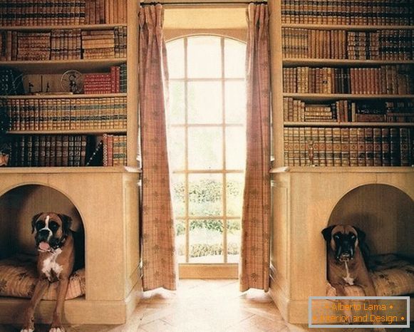Stanowiska dla psów w regale książkowym