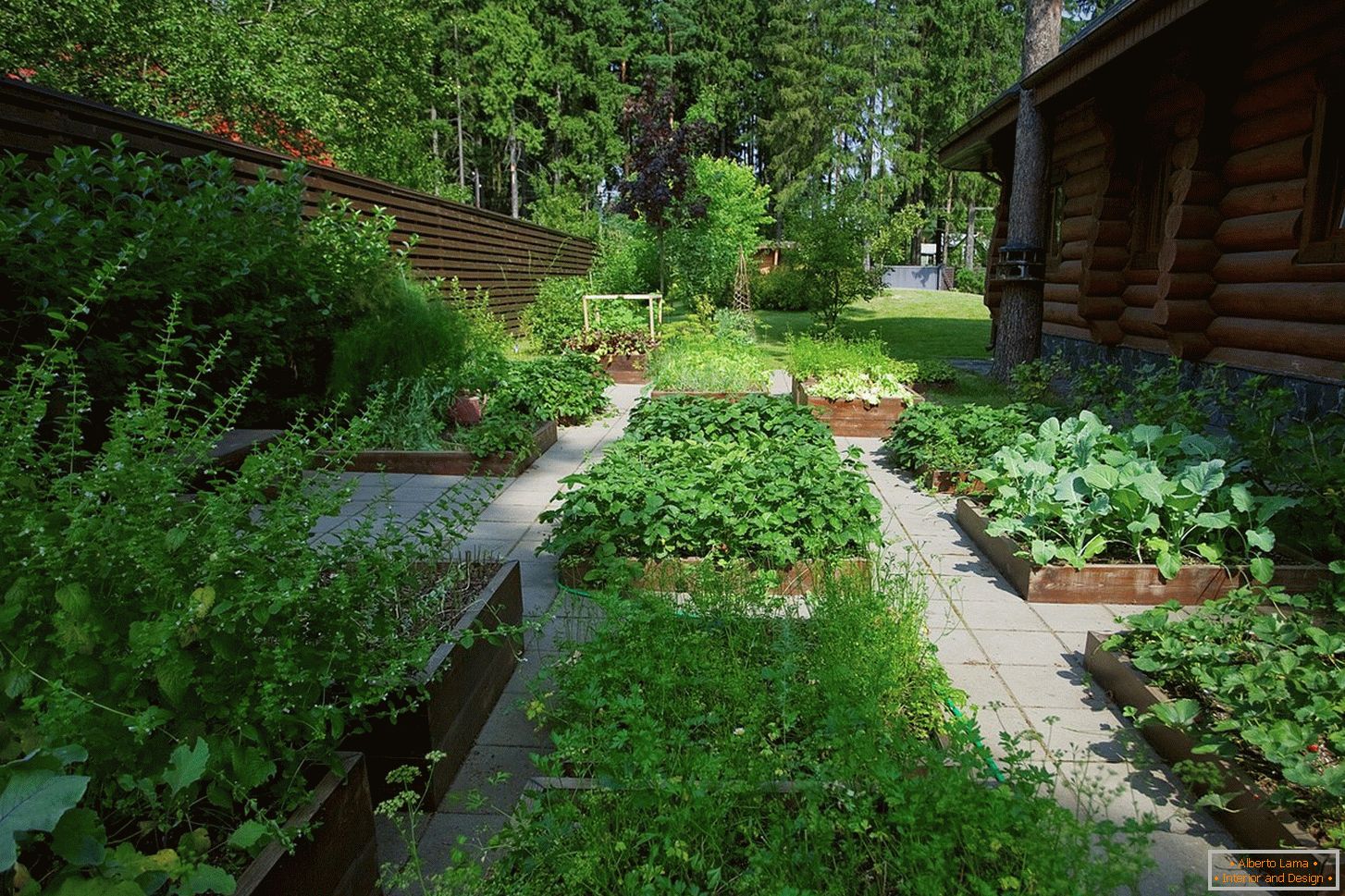 Ogród warzywny w kraju