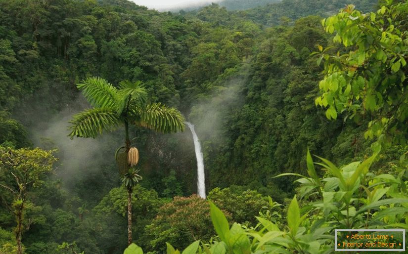 Wycieczki z przewodnikiem w Kostaryce