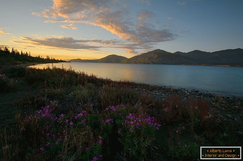Wspaniałe zdjęcia natury Kanady, Keith Williams