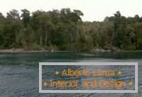 Unikalny las mirtu w Argentynie