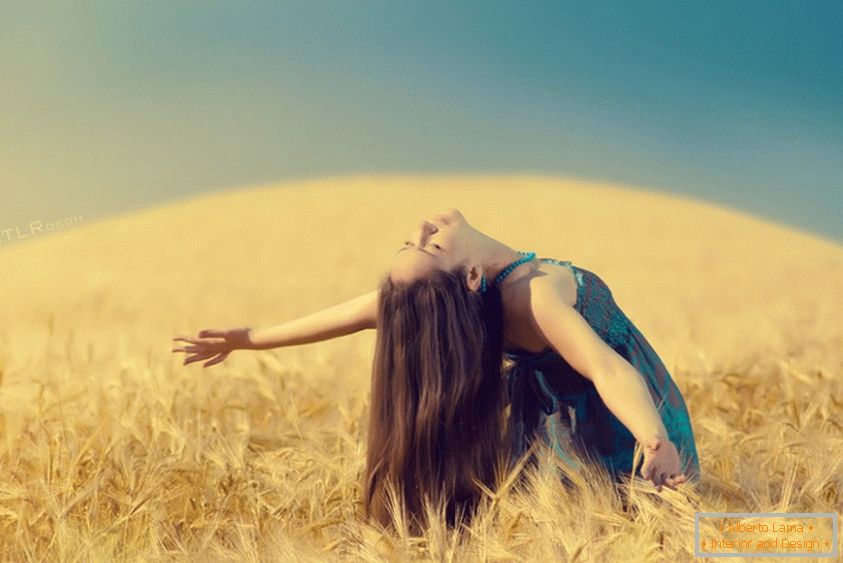 Dziewczyna na polu pszenicy, Sergey Zhuravlev