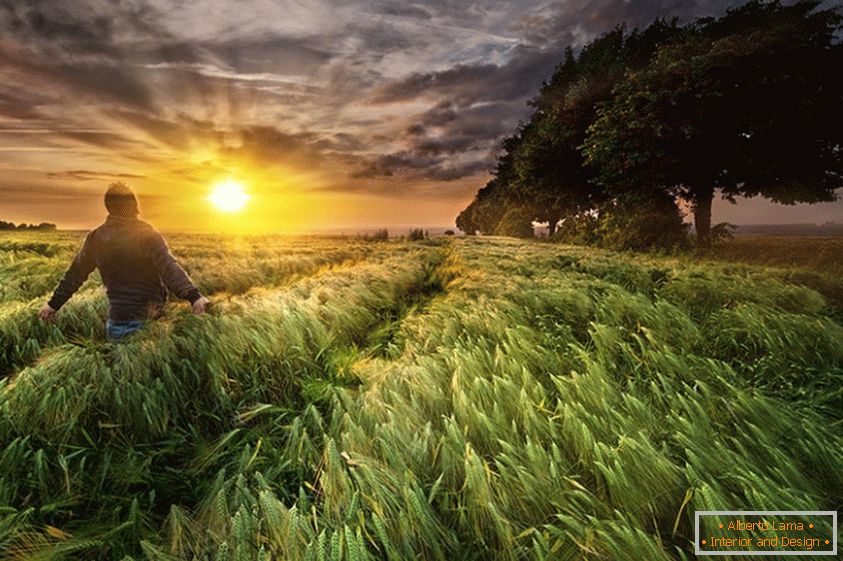 Мужчина на пшеничном поле, фотограф Paul Woźniak